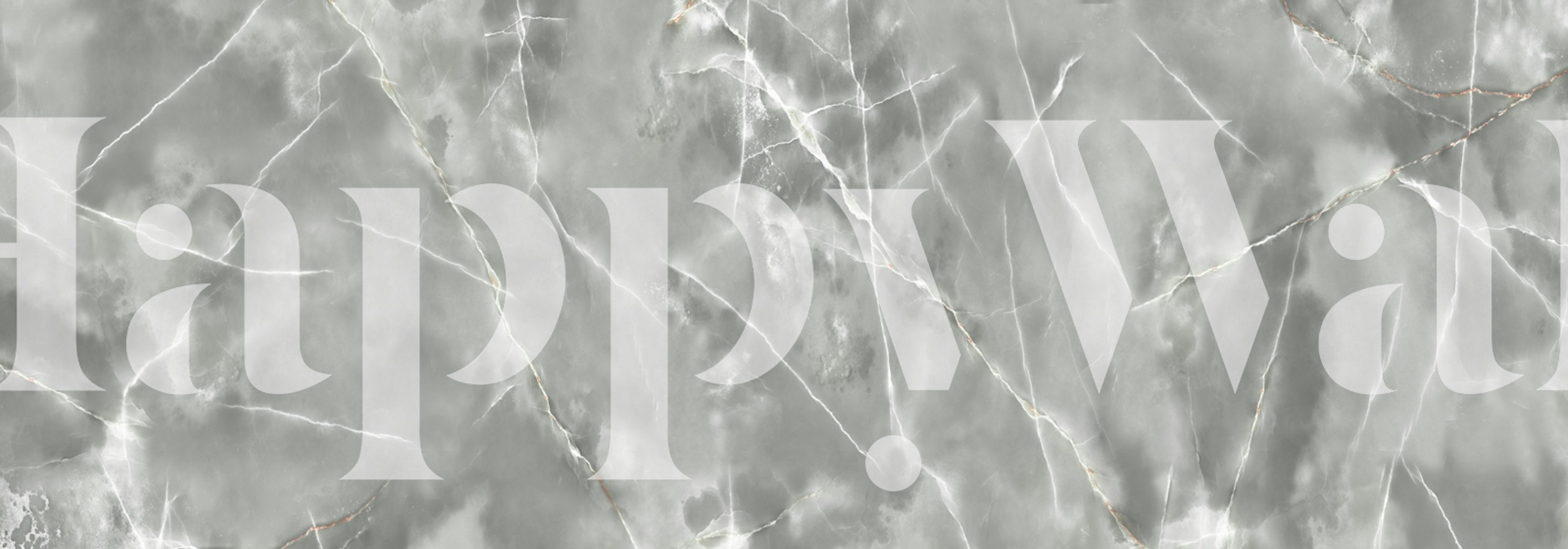 Silver Cloud Grey Onyx Marble behang in een kamer