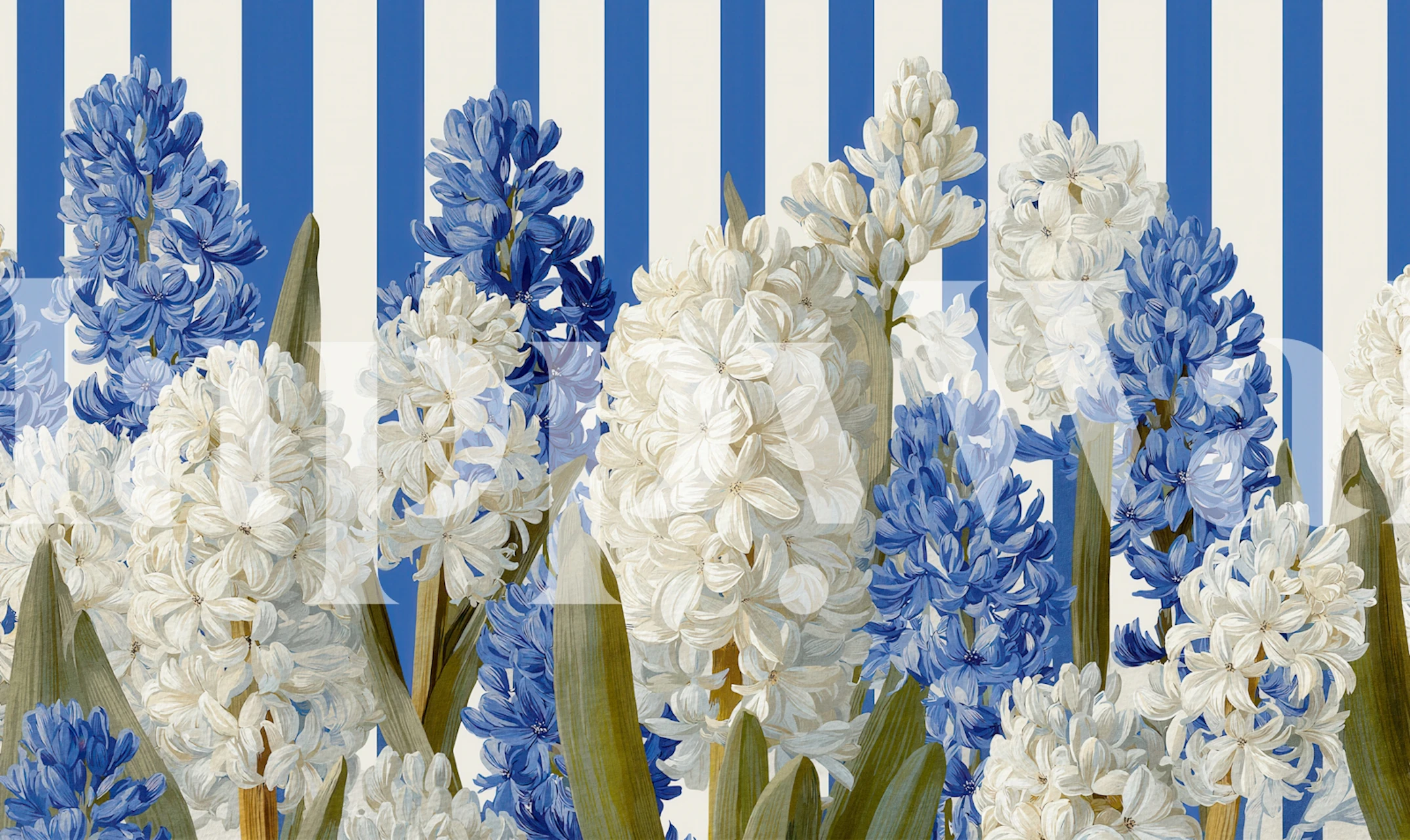 Papel pintado floral Striped Hyacinth Harmony