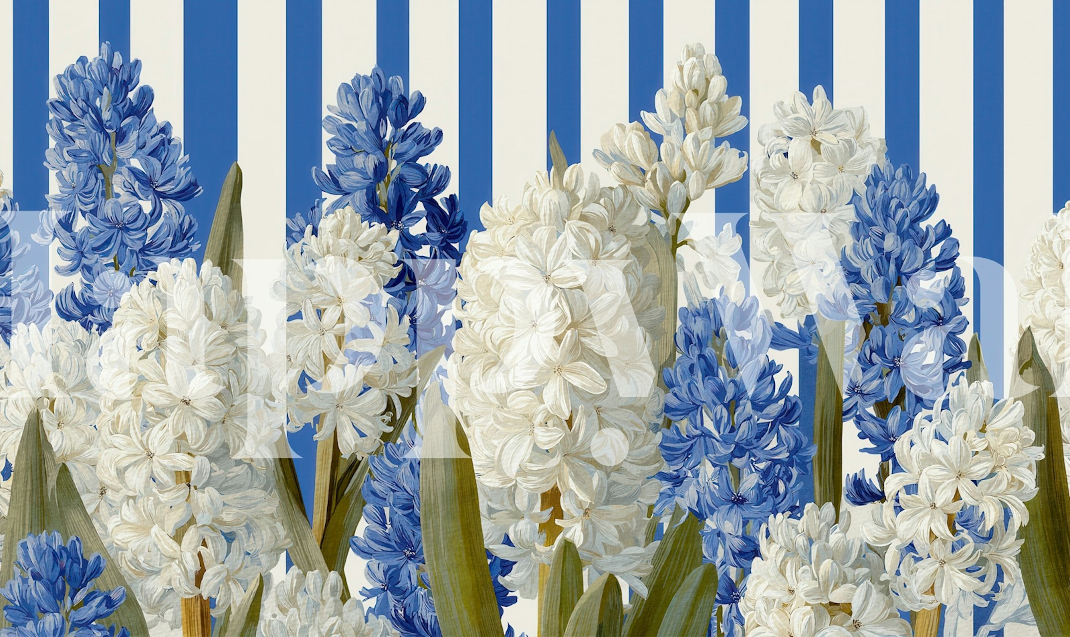 Striped Hyacinth Harmony floral wallpaper