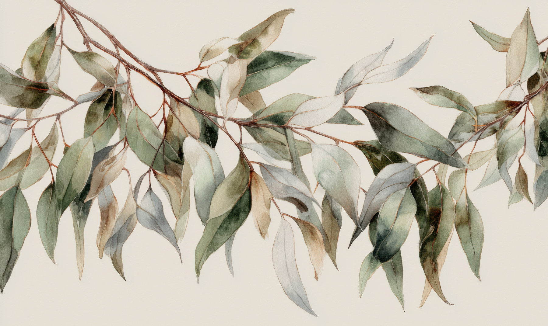 eucalyptus