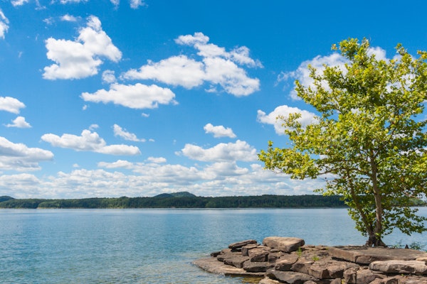 Serene Lakeside View