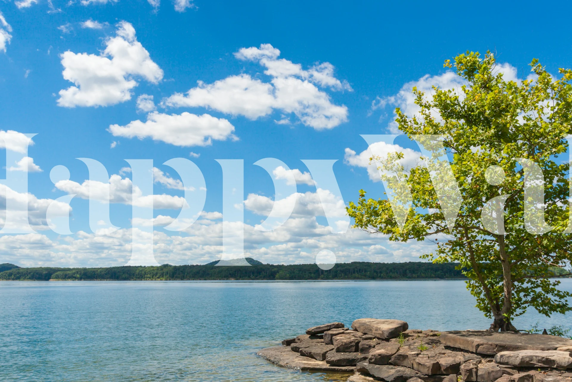 Serene lakeside view wallpaper in a room