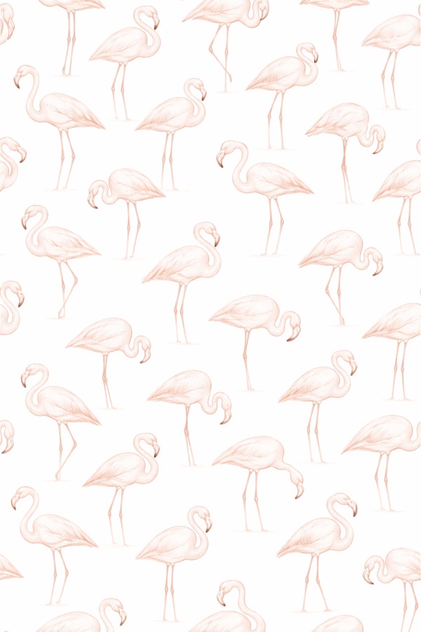 Soft Blush Flamingos