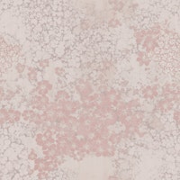 Abstract Vintage Florals – Blush tapet