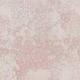 Abstract Vintage Florals – Blush