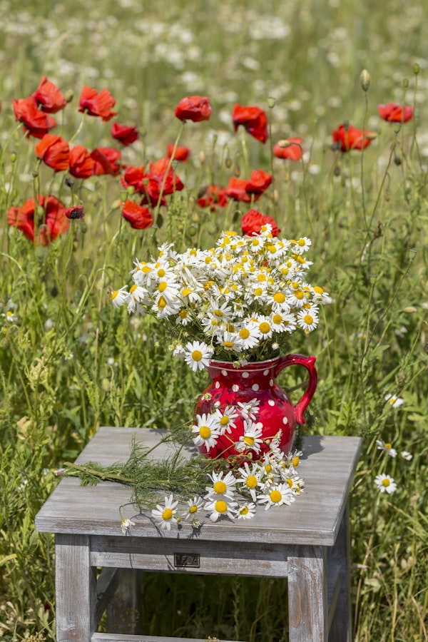 Flower Still Life With Chair