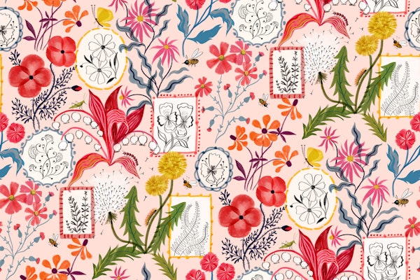 Wildflower variety gallery rose