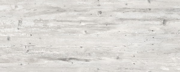 Whitewashed Oak Wood Plank Texture