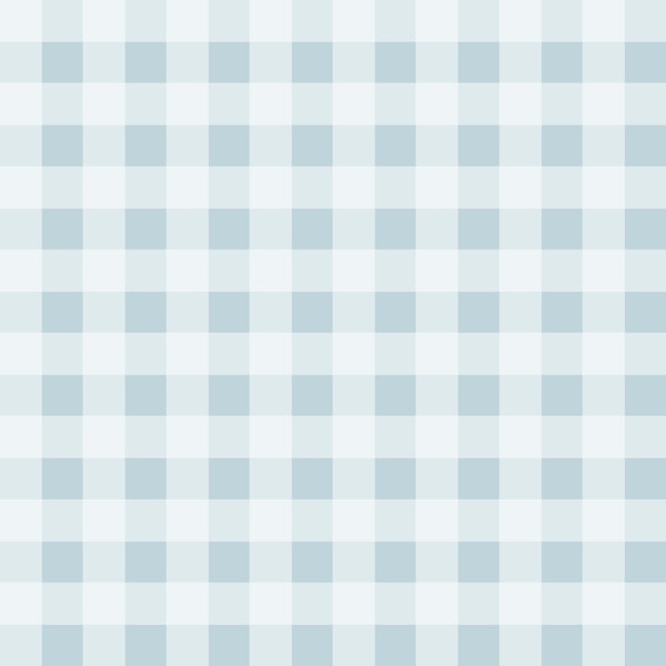 Gingham Charm In Sky