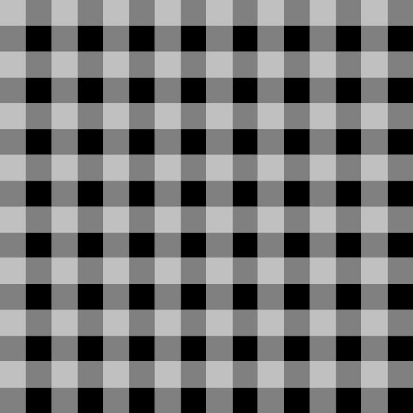 Gingham Charm In Black