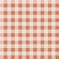 Checkered Charm In Terracotta behang