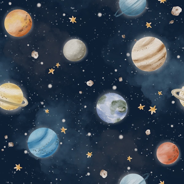 Planetary Delight Small In Navy