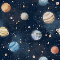 Planetary Delight Big In Navy behang