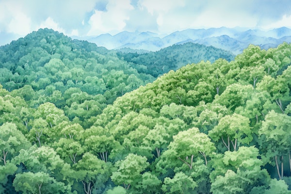 Peaceful Woodland View