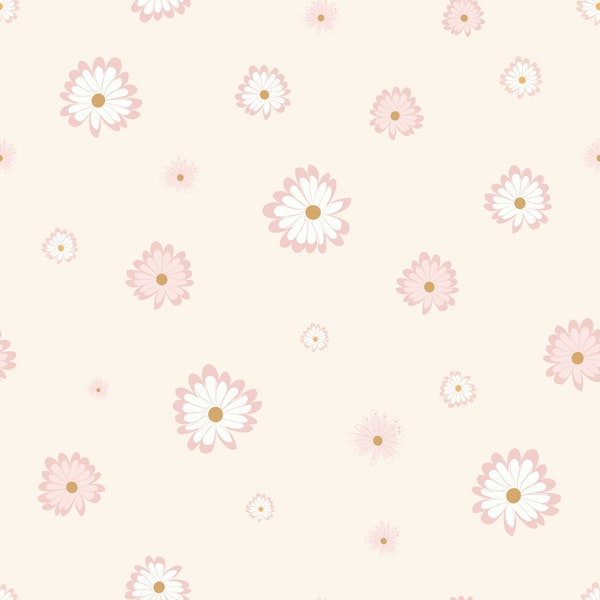 Pink Daisy Meadows
