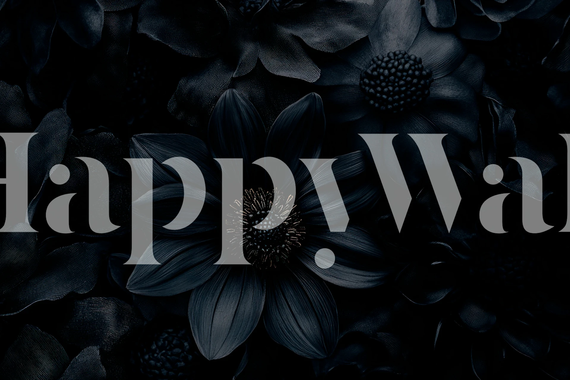 Enchanted Night Petals wallpaper in a room