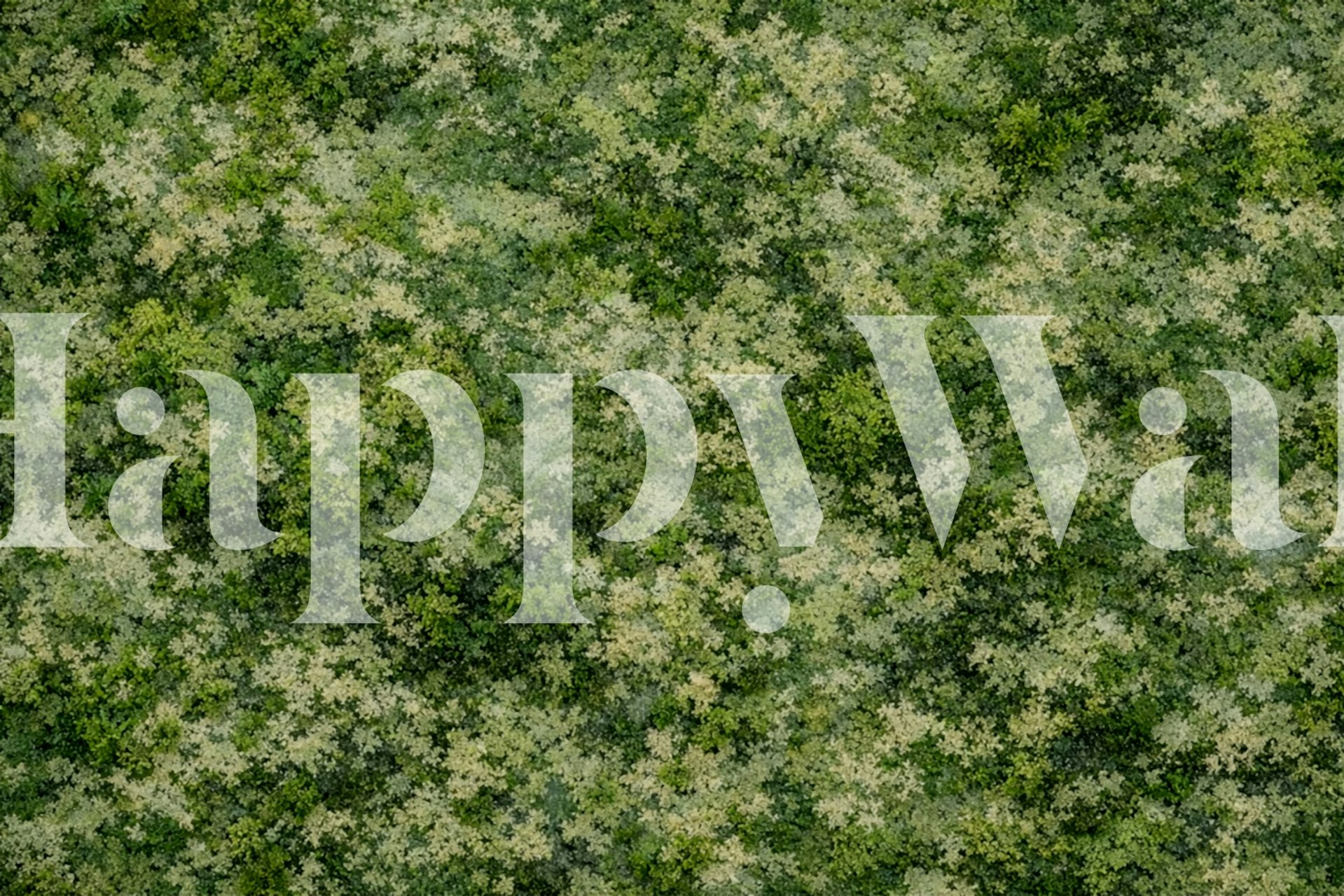 Mossy stone texture wallpaper in green and beige tones