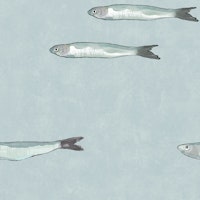 Serene Sardines - Aquamarine wallpaper