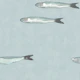 Serene Sardines - Aquamarine
