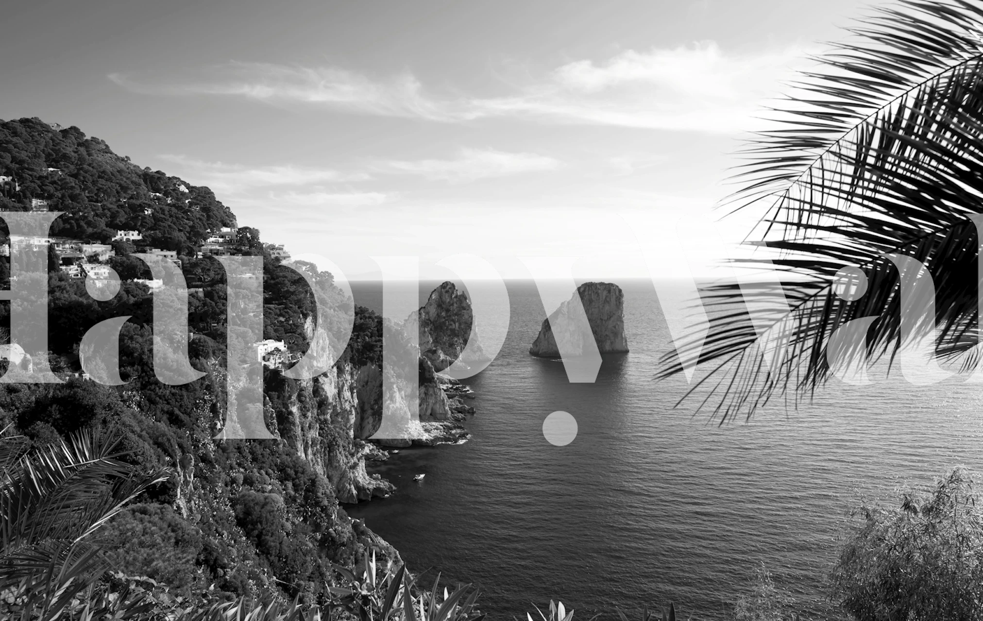 Black and white coastal view with cliffs and sea wallpaper