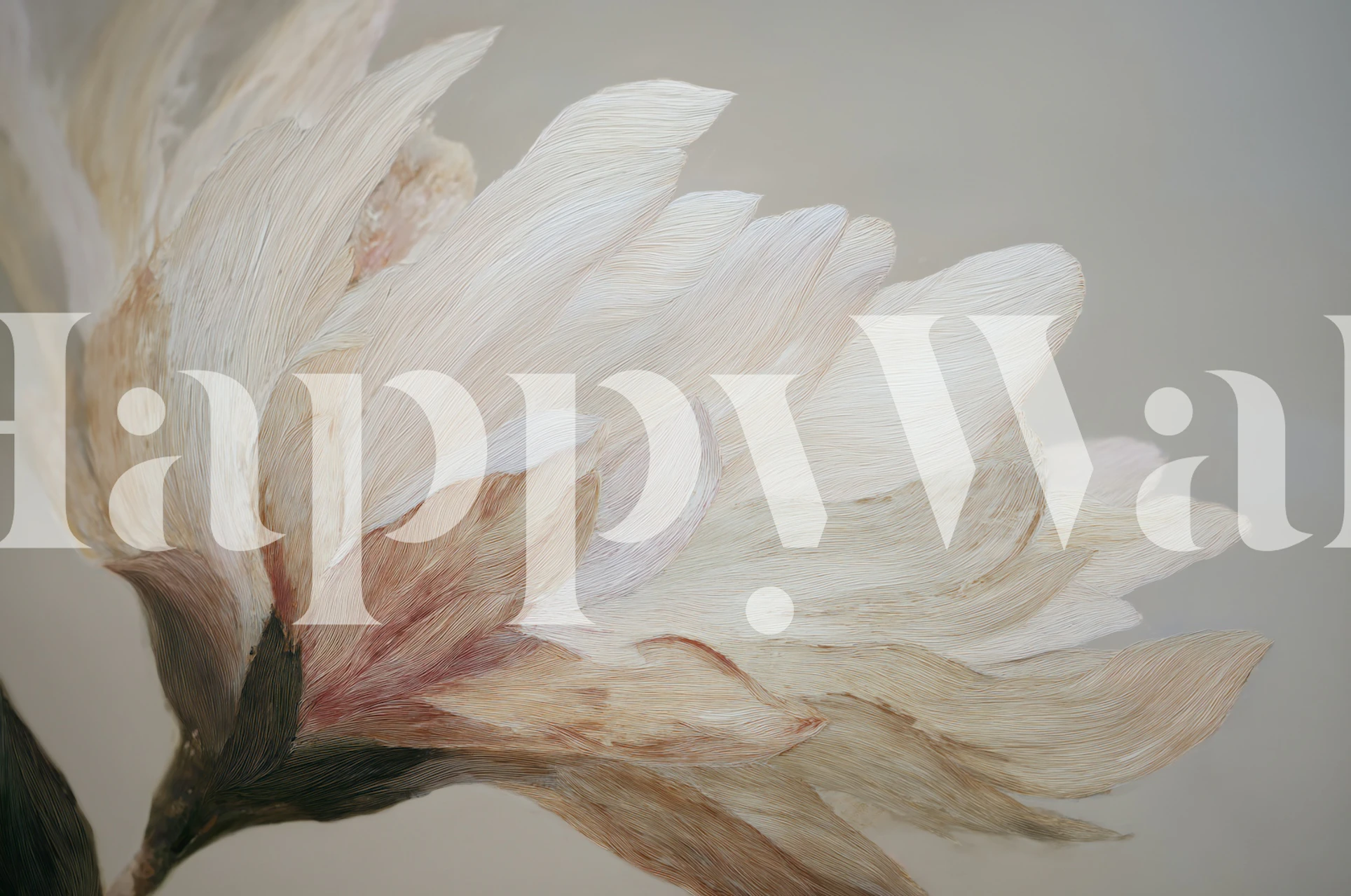 Soft Petal Elegance floral wallpaper design