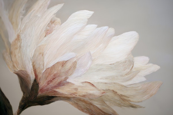 Soft Petal Elegance