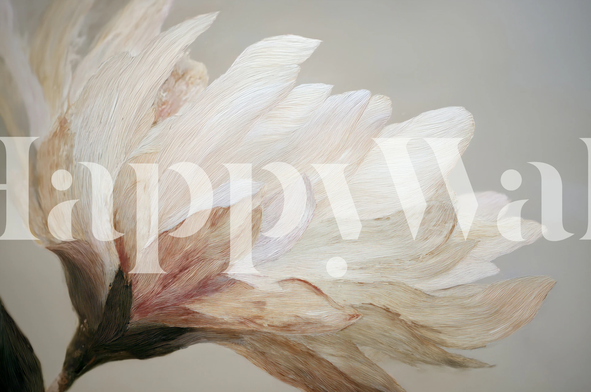 Soft Petal Elegance floral wallpaper design