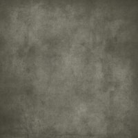 Dirty Paper - Putty tapet