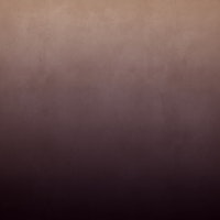 Dirty Paper - Ombre Plum tapet