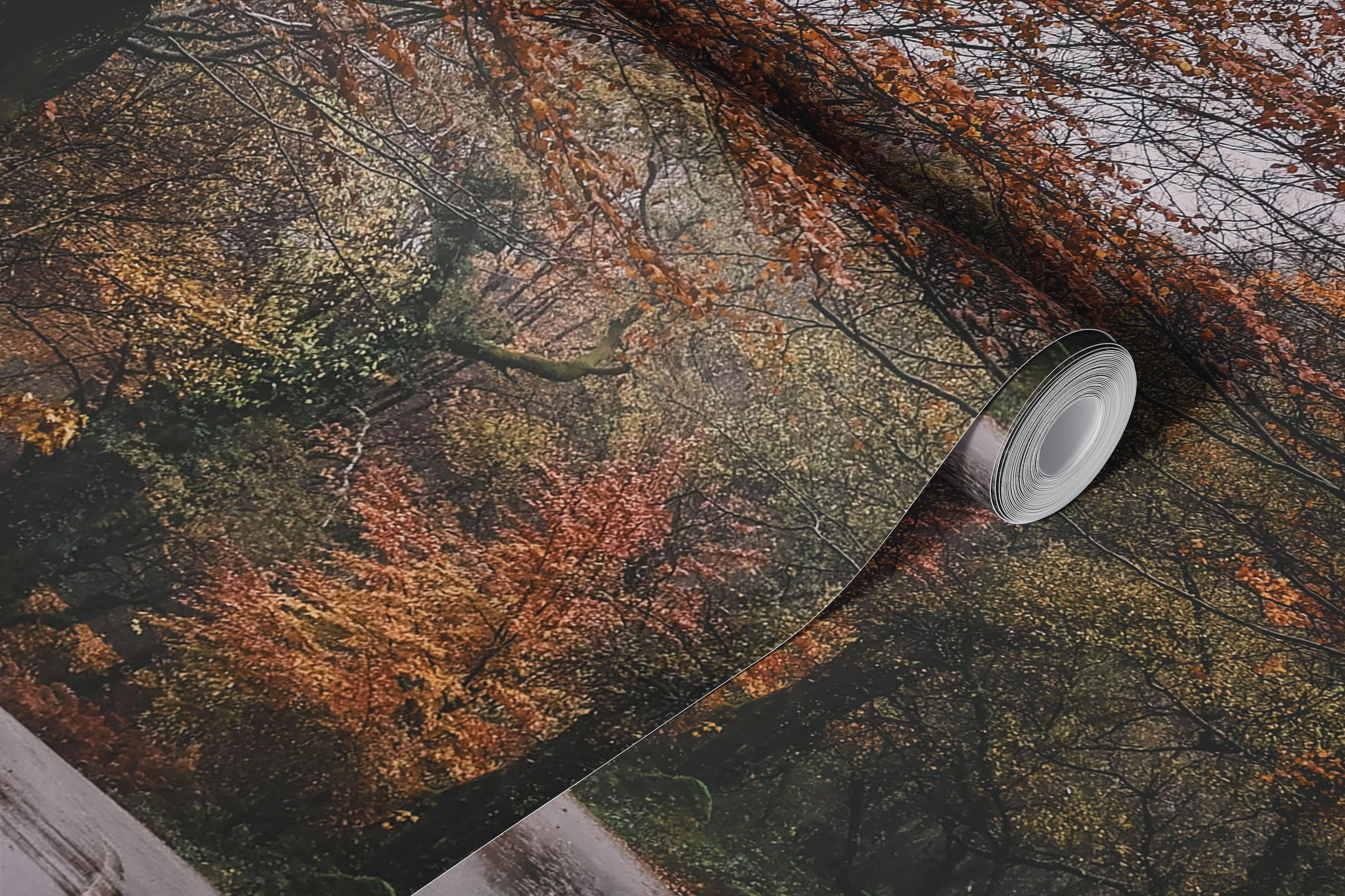 Tree-lined road wallpaper in a cozy room