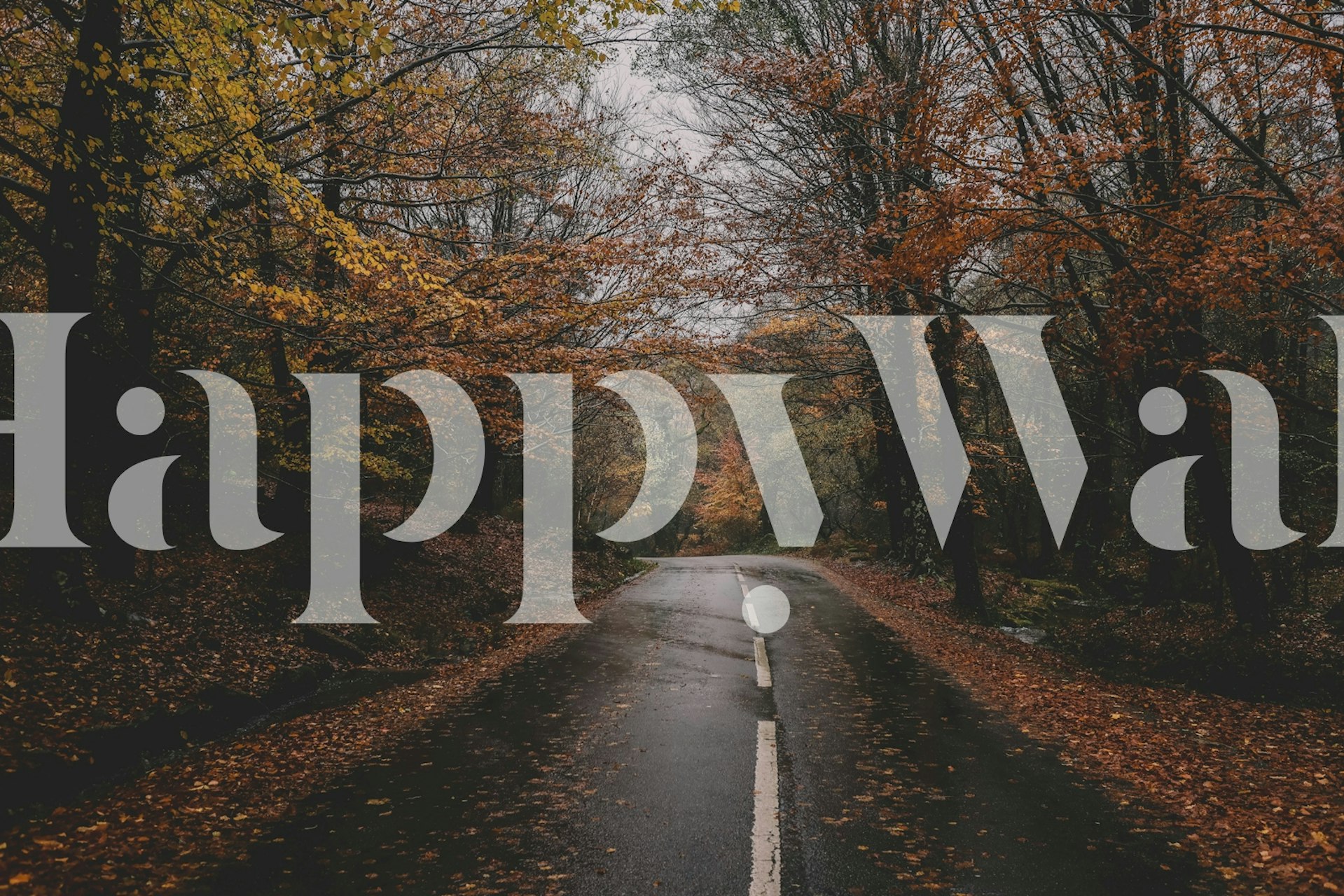 Tree-lined road wallpaper in a cozy room