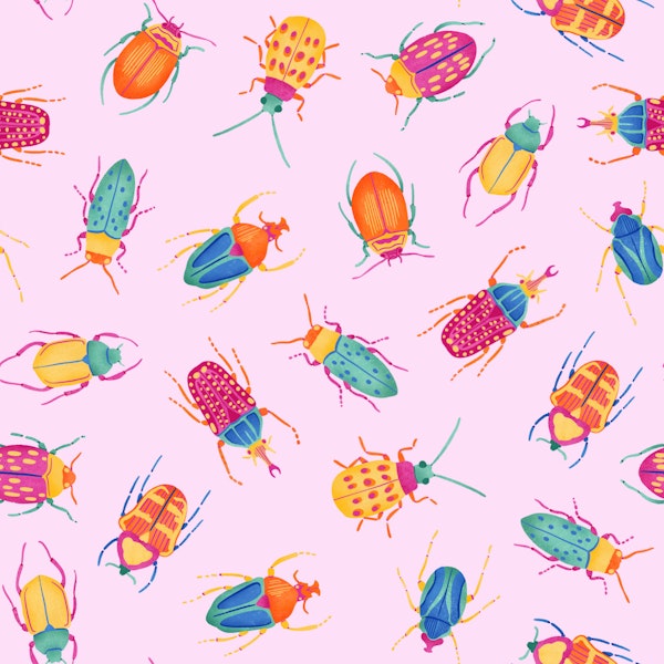 Bright Beetle Collection