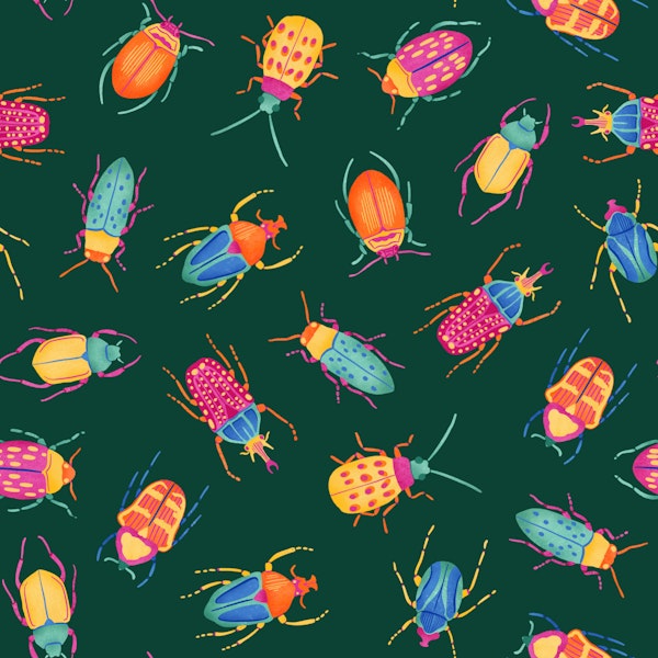 Playful Bug Adventure