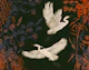 Tranquil Heron Haven