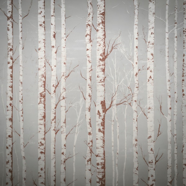 Winter Birch Beauty