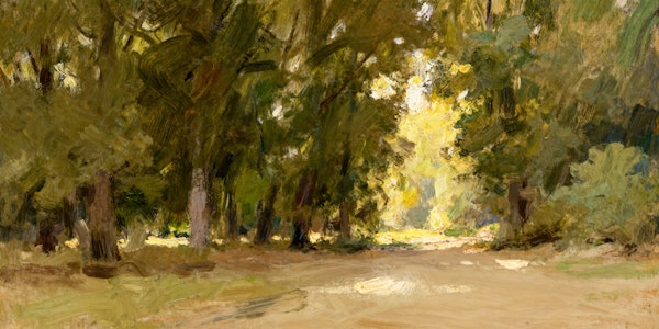 Tranquil Forest Trail