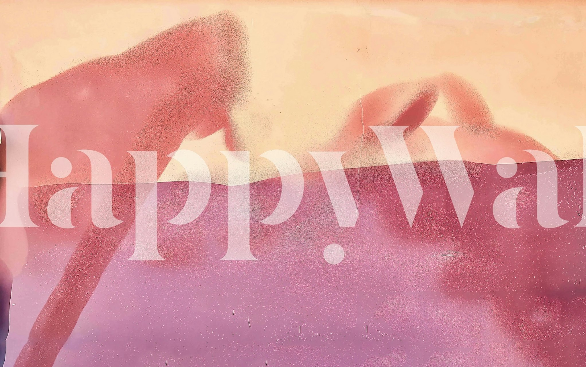 Dreamy Desert Silhouette wallpaper in a room