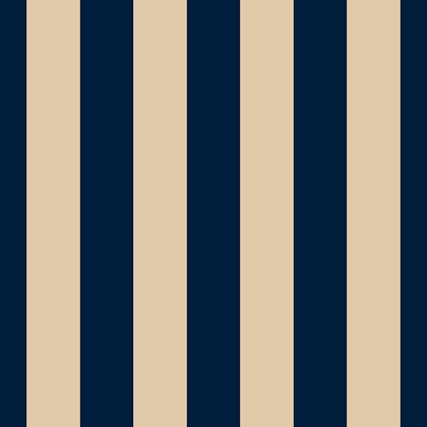 Vertical Stripe Navy Blue and Beige Pattern
