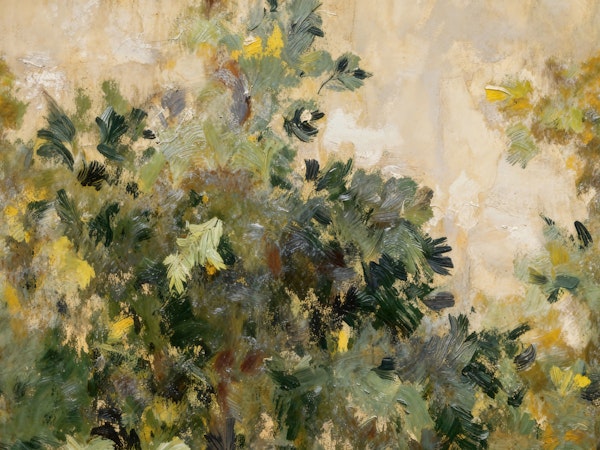 Rustic Foliage Forest