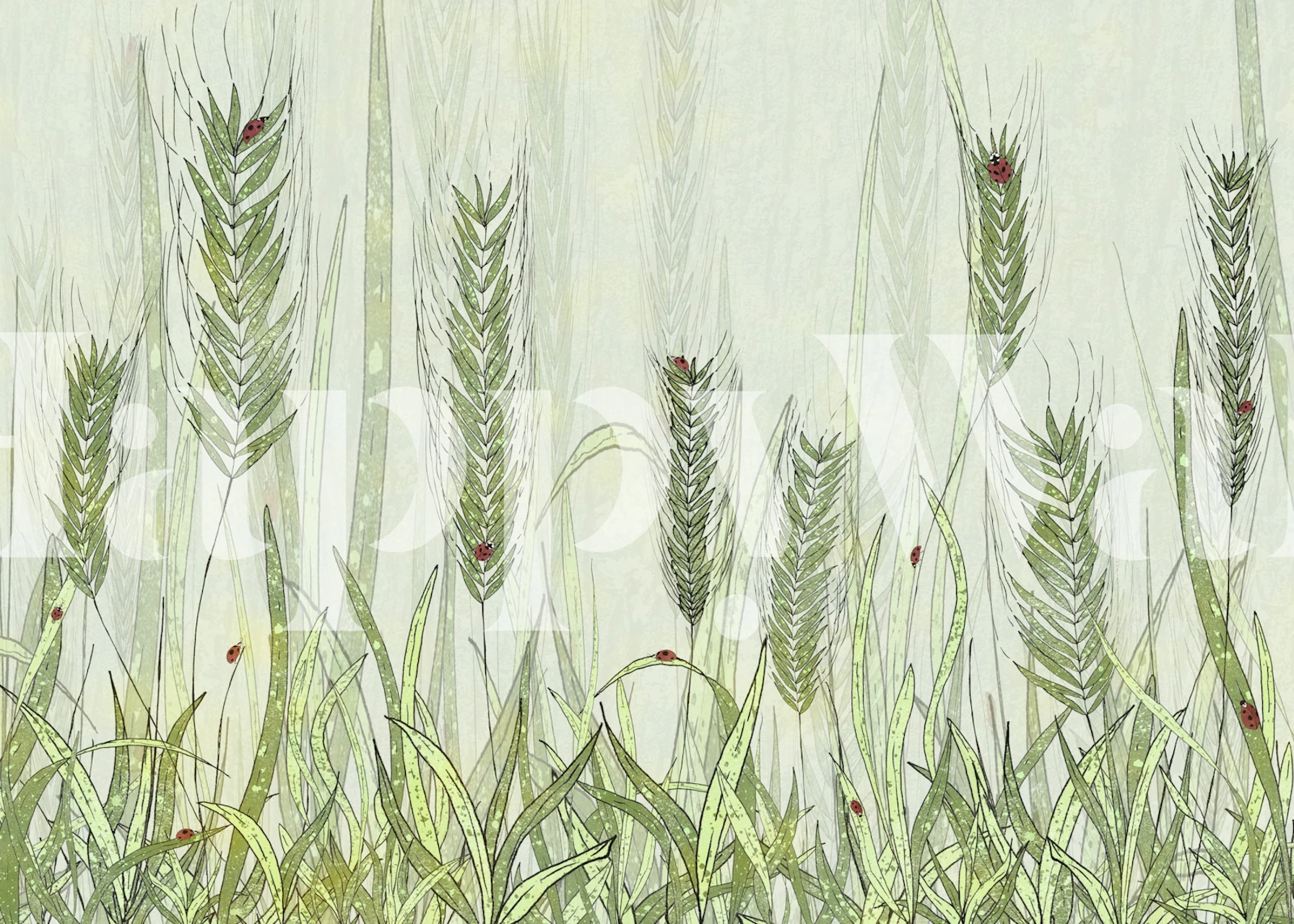 Papel de parede Ladybugs Dream em um cômodo