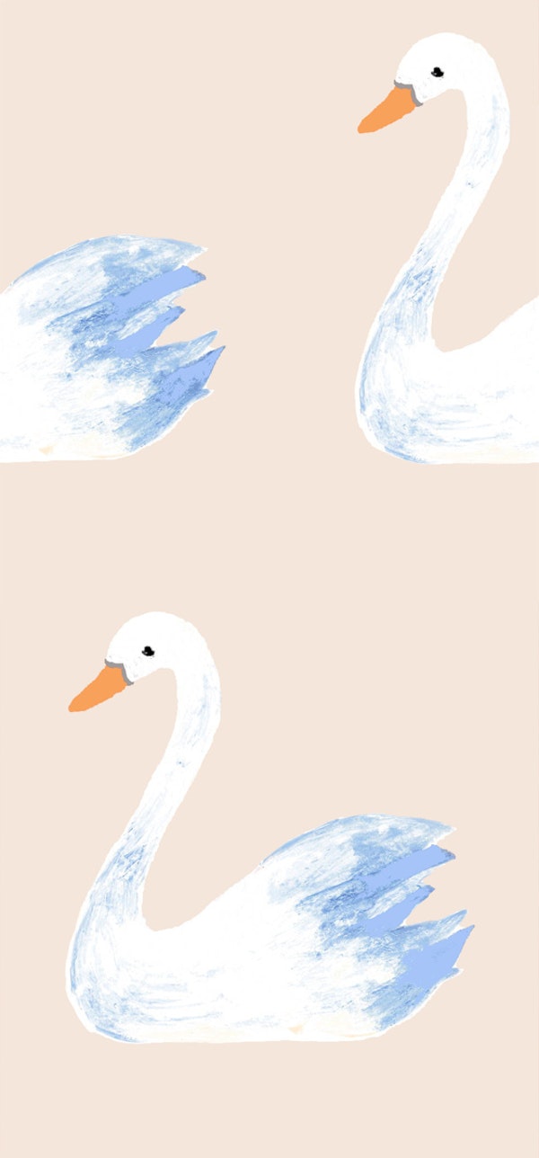 Pastel Swan Elegance