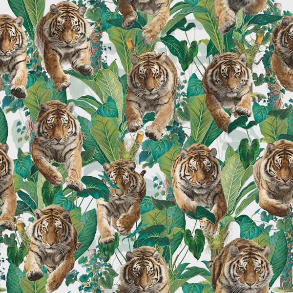 Tropical Tiger Adventure 01