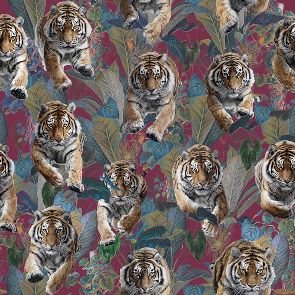 Tropical Tiger Adventure 02