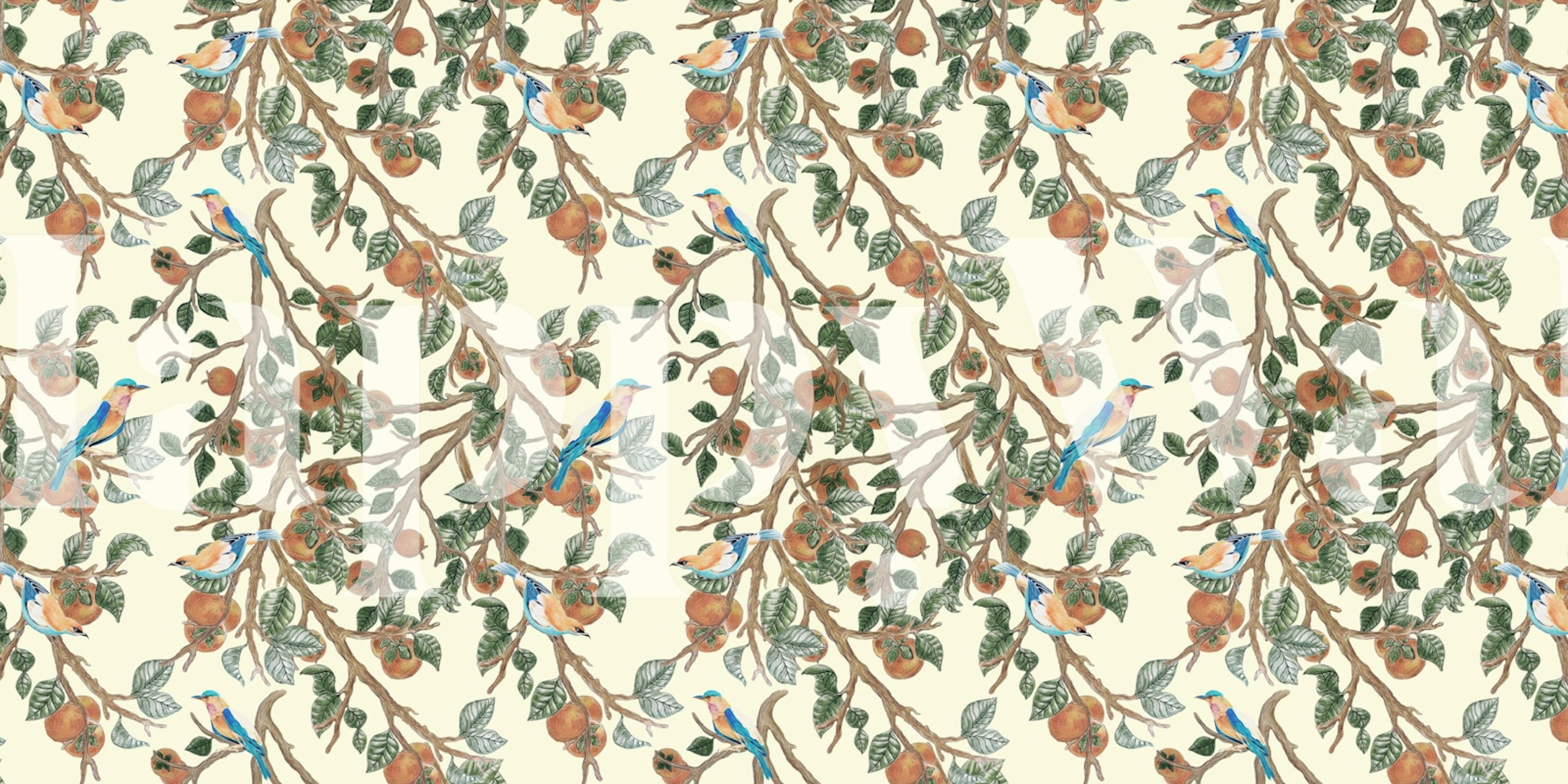 Design tapety Persimmons i Indian Rollers