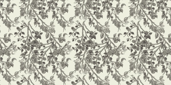 Persimmons and Indian Rollers Charcoal