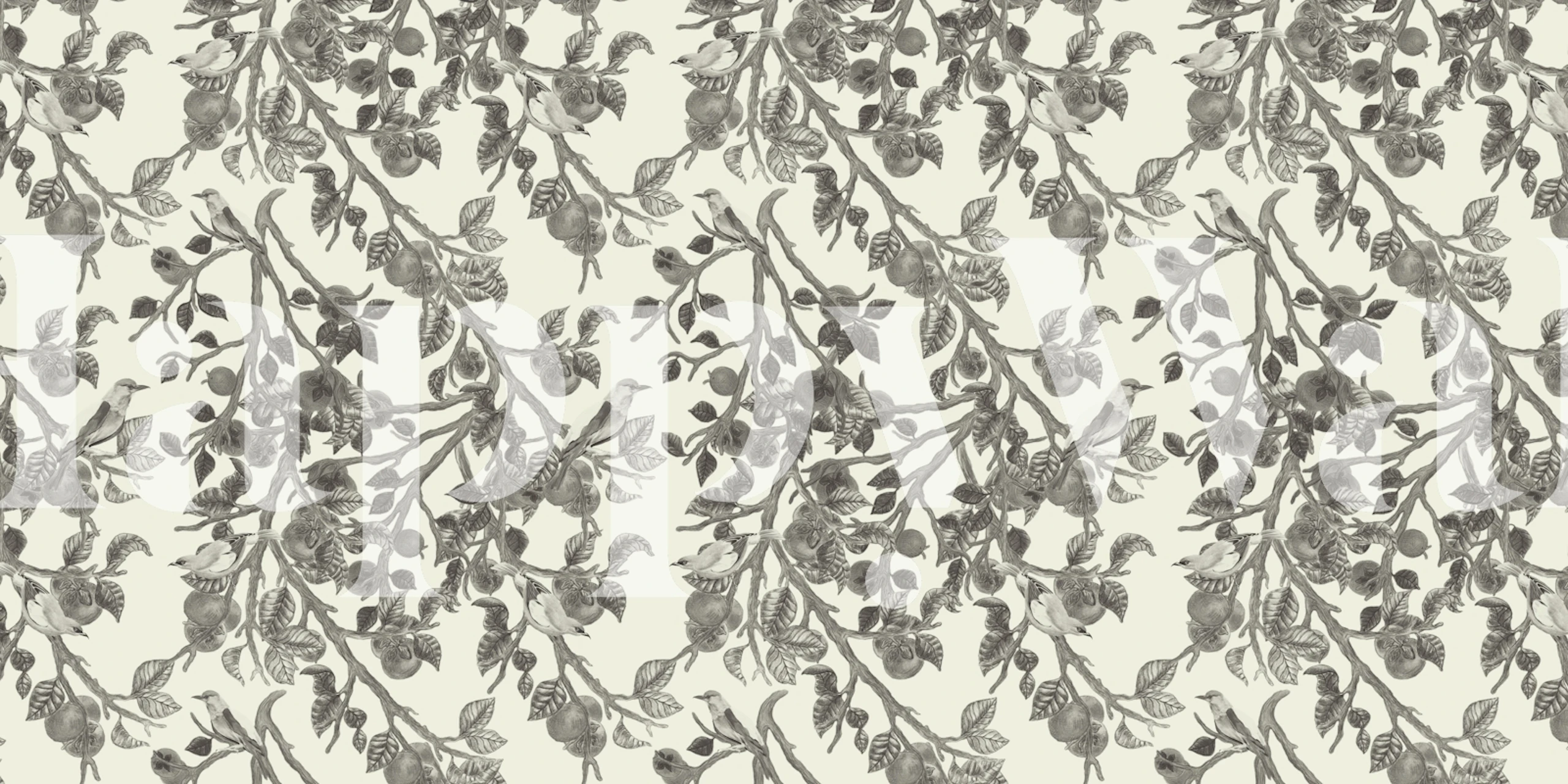 Persimmons and Indian Rollers Charcoal wallpaper in a room