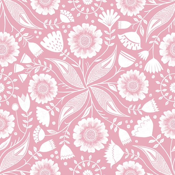 Botanical Illustration - Cameo Pink