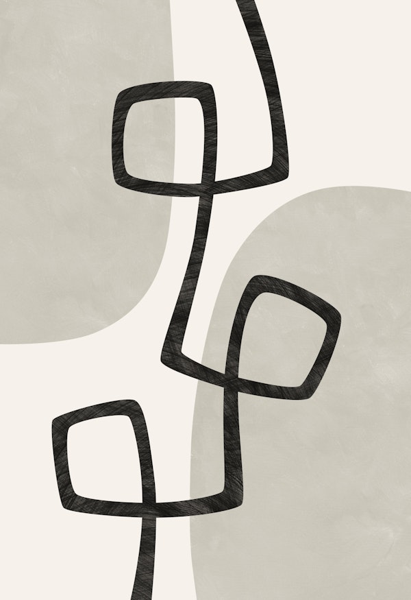 Chaos and Order 1 - elegant harmony flow