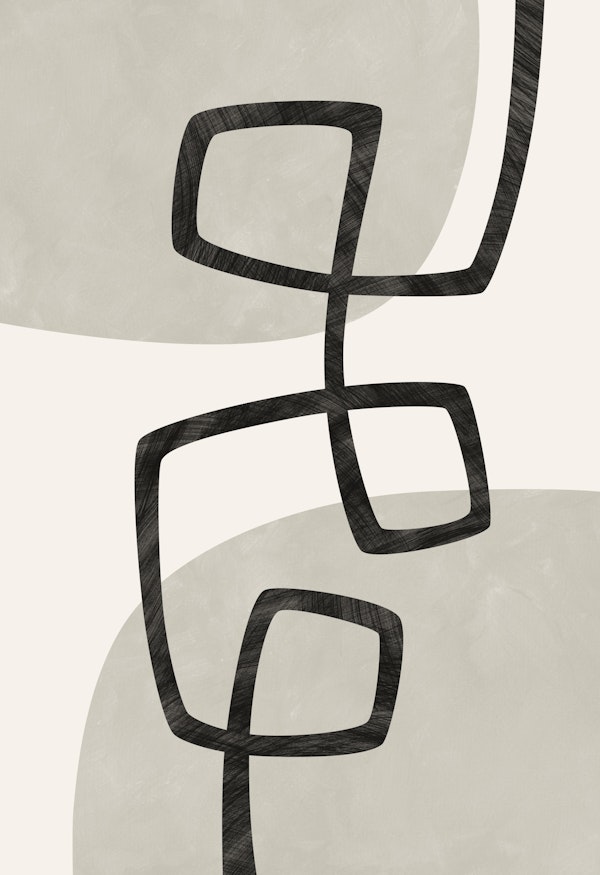 Chaos and Order 3 - elegant harmony flow