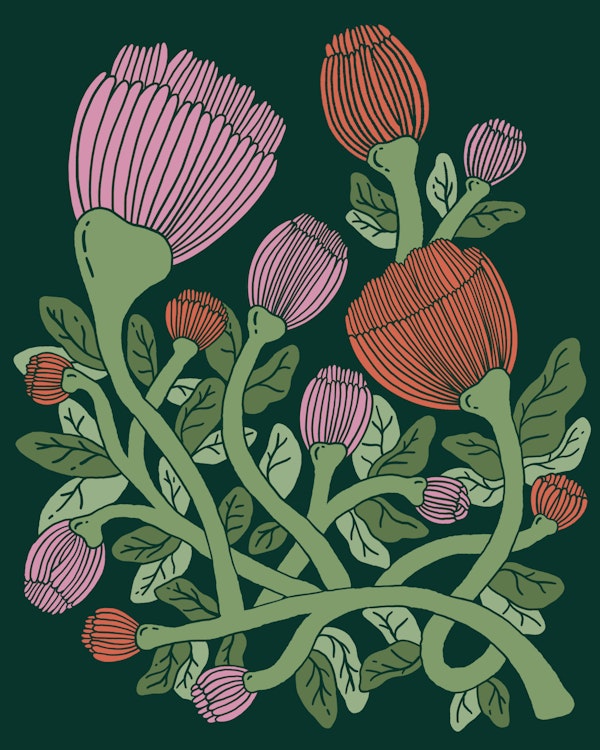 Colorful Blossom Vines